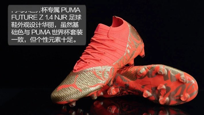 pumafuture欧洲杯版 puma欧洲杯配色-第3张图片-www.211178.com_果博福布斯