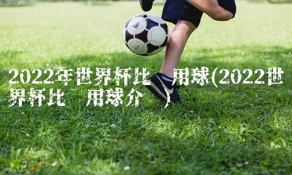 世界杯 比赛 传球线路 世界杯2022用球-第2张图片-www.211178.com_果博福布斯